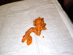 伝説の本物素人がまたスカトロAVに出ちゃいました　3日間の自然排便　サンプル画像05